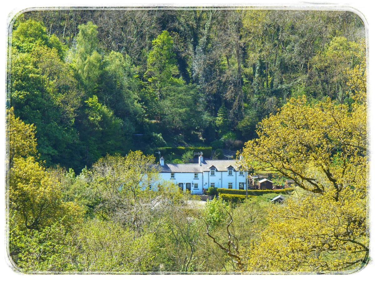 River Cottage St Asaph Exteriör bild