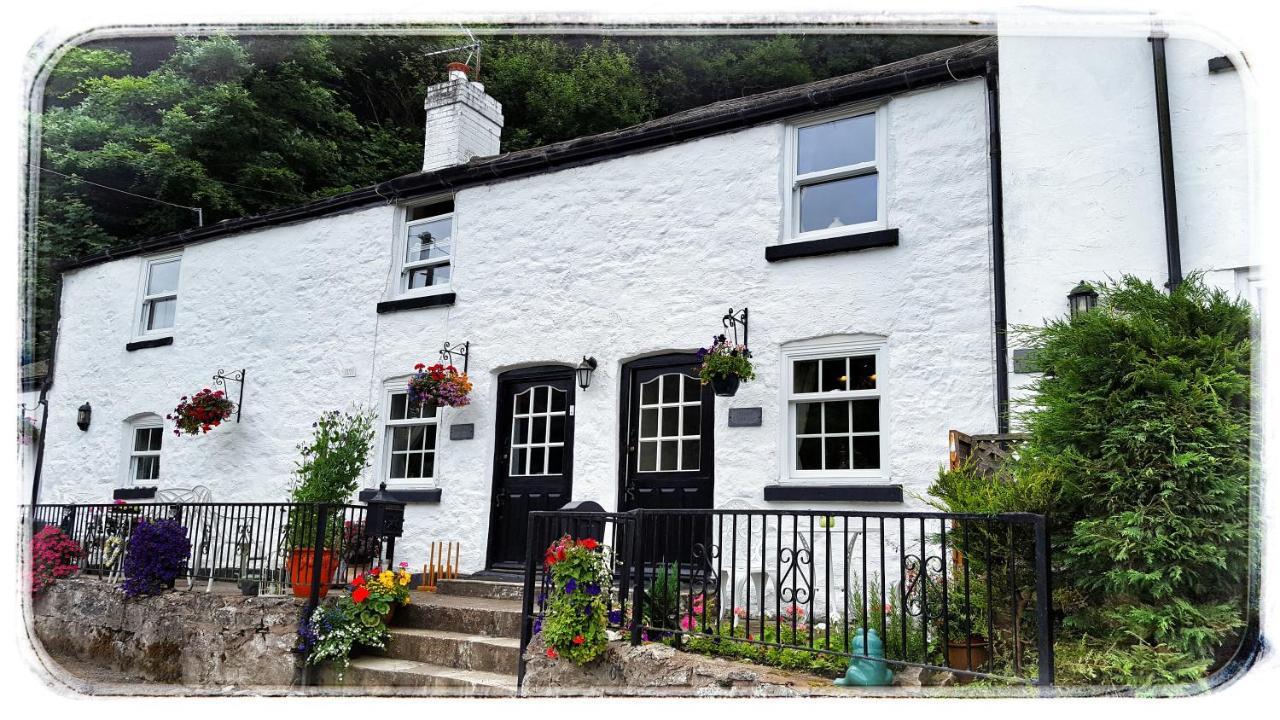 River Cottage St Asaph Exteriör bild